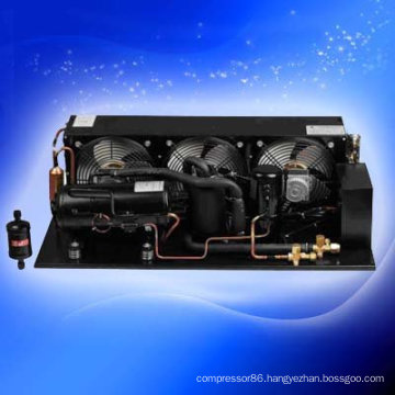 HVAC Refrigeration equipment of Condensing Units for cold room freezing cabinet Blood cooling